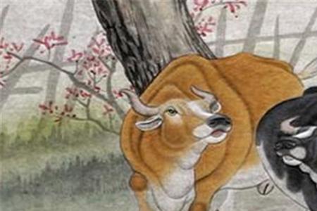 1568年是什么生肖