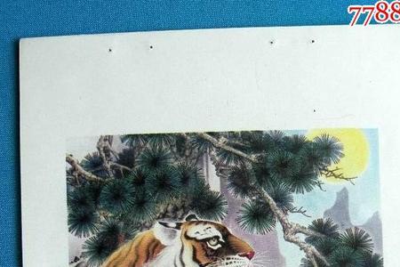 1986年2月24晚上8点是上山虎还是