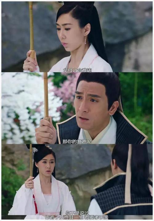父命难违。什么意思