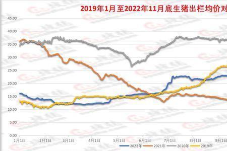 今天山东济南肉价是多少
