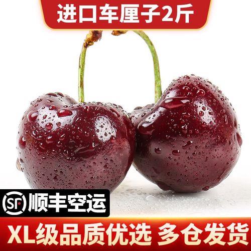 樱桃xl级和j级哪种好吃