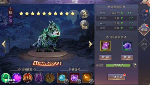 天下灵宠怎么升级
