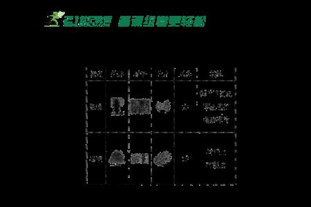 什么样的树填空