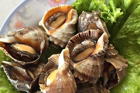 海螺和虾能一起煮吗