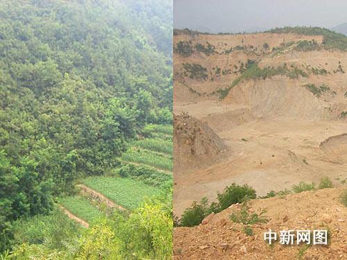 河北退林还田果树补偿标准
