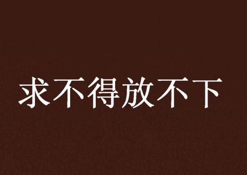 求而不得下一句什么