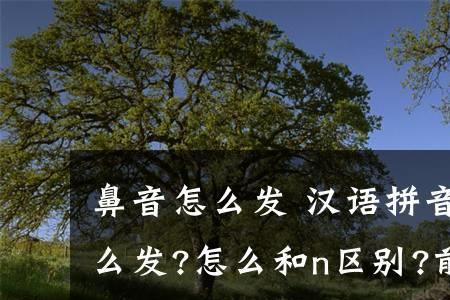 装是后鼻音吗