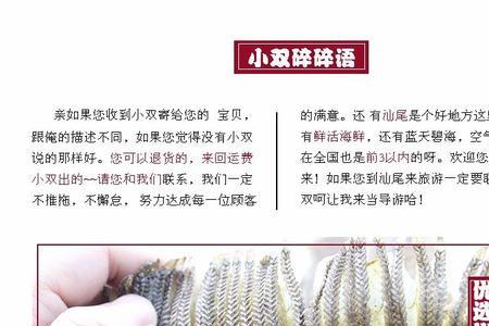 深海鱼鳃作用