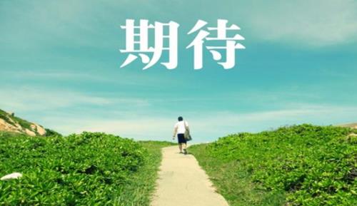 要求不代表不期待是什么意思