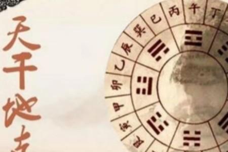 真占是什么意思