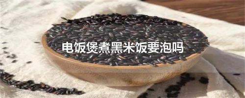黑米饭不用电饭锅能做出来吗
