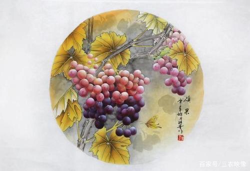 连体葡萄的寓意