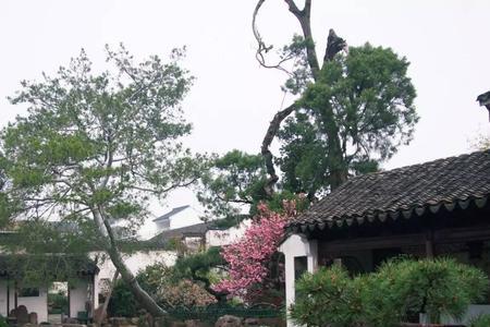 各师各法什么意思