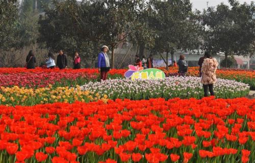 春节过后是什么季节