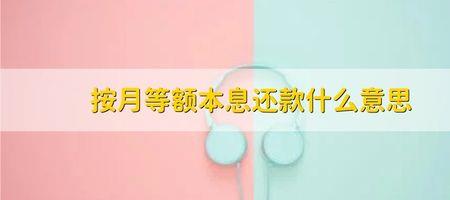累计已还本息是什么意思