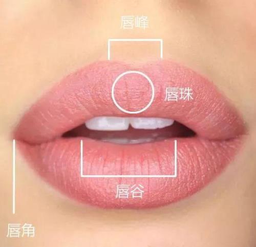 上唇唇珠位置图