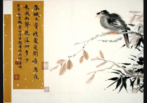 春眠不觉晓，描写了什么生命现象