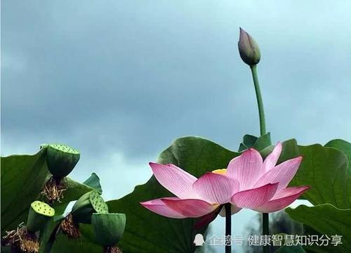 财多福厚是什么意思