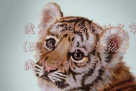 给小老虎取名怎样提交