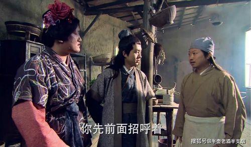 武松回来是多少集