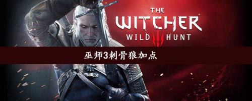 巫师3模拟巫师2存档是什么意思