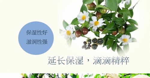 做皂用山茶籽油还是山茶花油