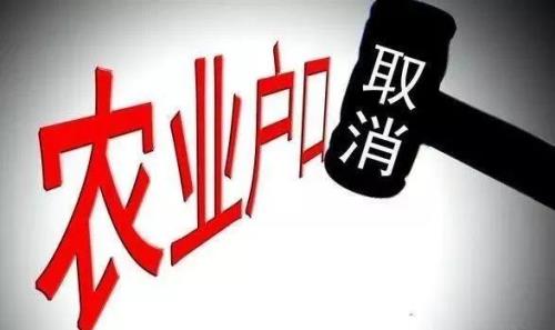 农村农田补贴可以分户吗