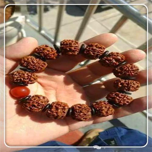 小金刚菩提为什么一敲就碎