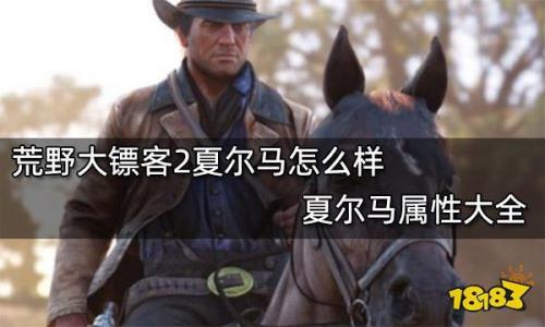 荒野大镖客荷兰温血马怎么样