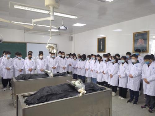 医学生称呼遗体叫什么