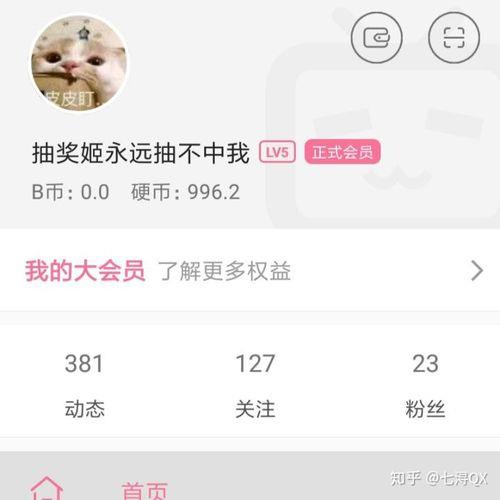 哔哩哔哩的硬币有什么用