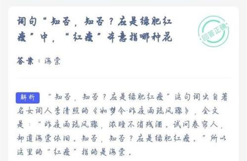 知否中形容有才华但藏着的成语