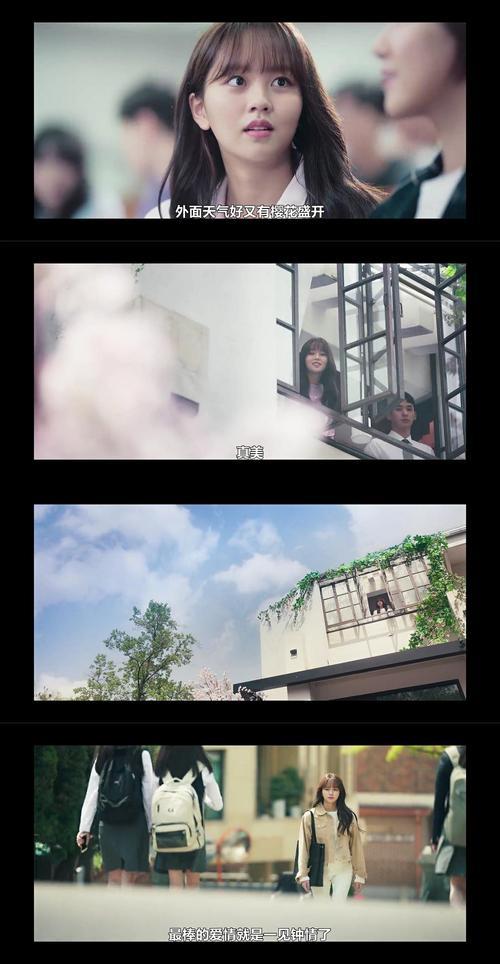 安全屋第三季都有哪些cp