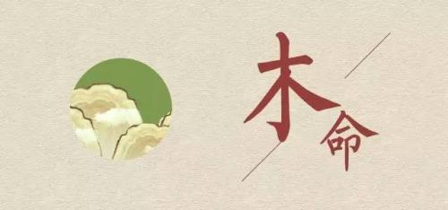 一个木一个辛读什么