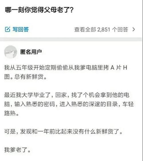 你是懂什么的梗怎么回复