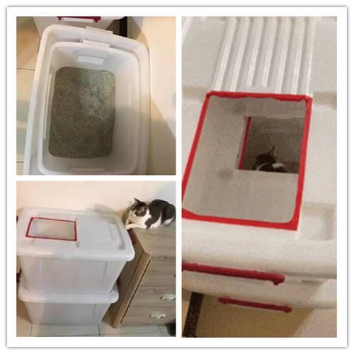 如何自制猫砂