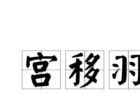 带羽的成语有哪些
