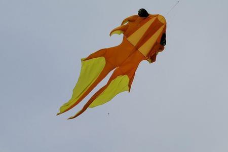 风筝在天空中飞着改拟人句