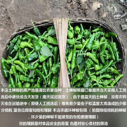 湖北辣椒如何越冬