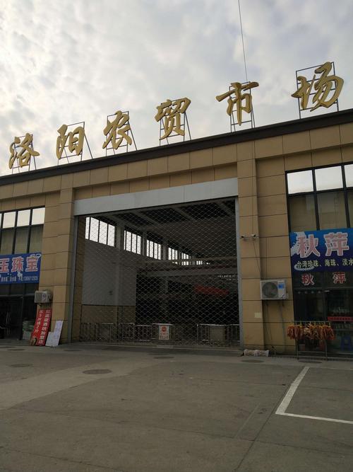 洛阳十大早市排名