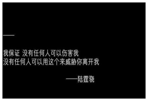 陆霆骁扮演者