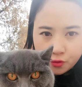 蓝猫的瞳孔为什么不一直放大