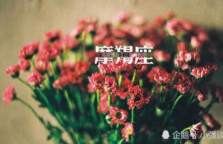 摩羯座说你一般好是什么意思