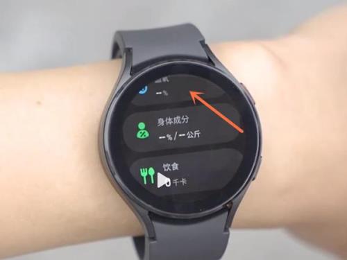 华为watch2能不能测血氧