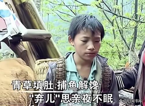 杨六斤介绍