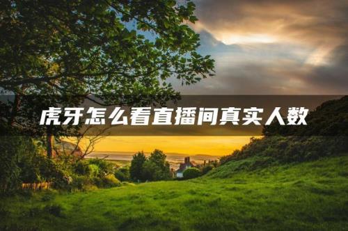 虎牙怎么看多少人在线
