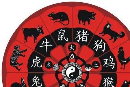 寅虎的谜底数字什么