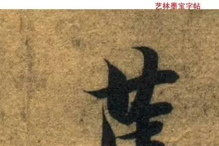 形容鸟的单字