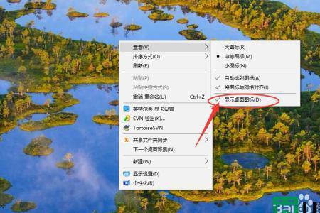 怎么样隐藏电脑桌面上的图标