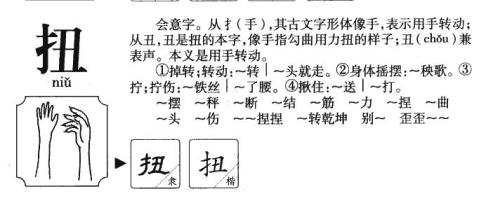 转组词有哪些